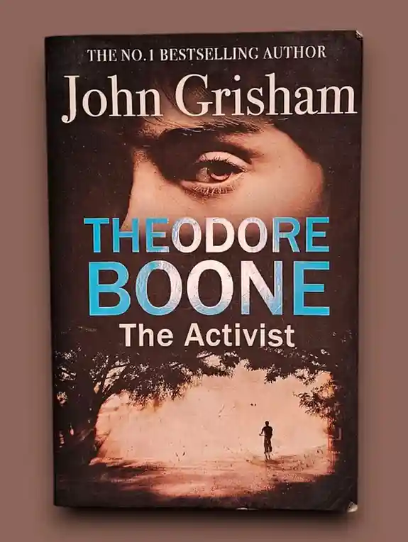 Theodore Boone The Activist